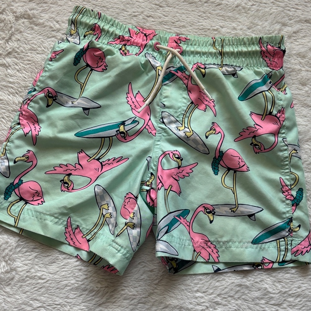 Boys Flamingo Swim Shorts